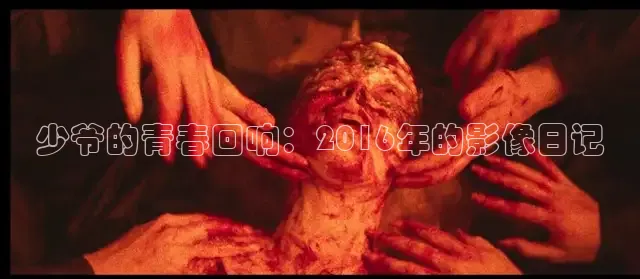 糖心vlog破解版